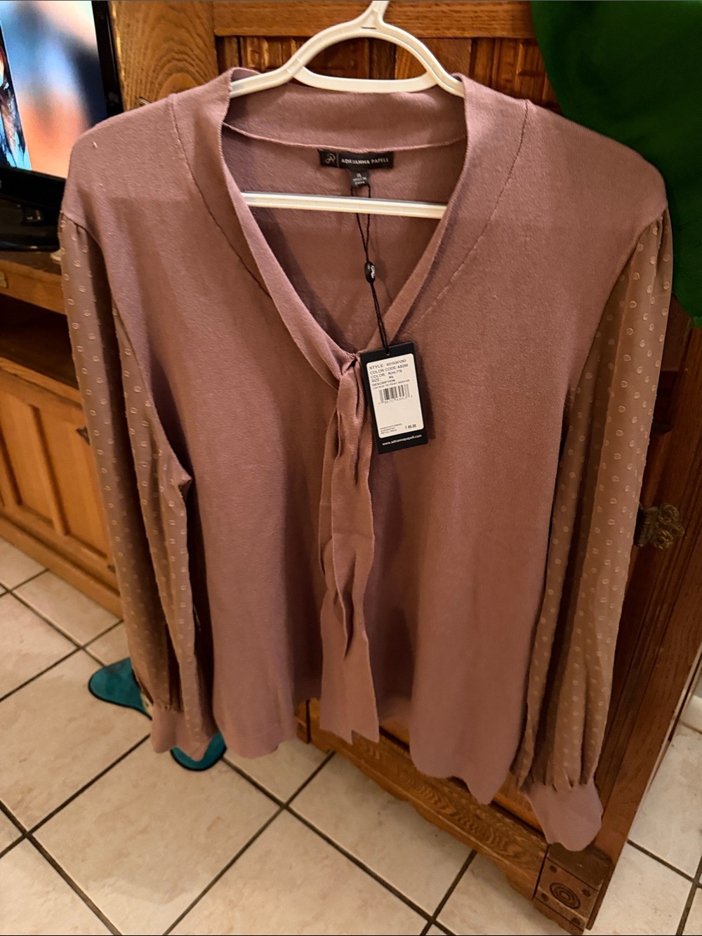 Adrianne Pappel Dusty Mauve V-Neck Tie-Front Sweater with Dotted Sheer Sleeves